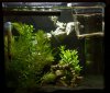 110211_Tag0_Cancriformis-Ansatz.jpg