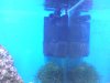 DSC05620.JPG