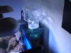 DSC05594.JPG