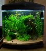 110503_Sera_Biotop60_status_quo.jpg