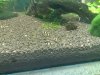 16042011561.jpg