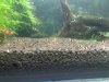 16042011563.jpg
