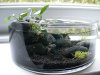 DSCN5820.JPG