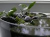 DSCN5830.JPG