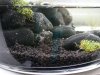 DSCN5823.JPG