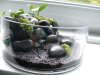 DSCN5819.JPG