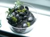 DSCN5818.JPG