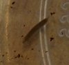 DSCF8317.JPG