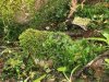 Mai 2011 068.JPG