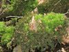 Mai 2011 078.JPG