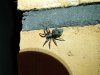 DSC04114.JPG