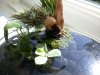DSCN5863.JPG