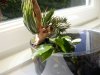 DSCN5864.JPG