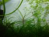 DSC01146.JPG