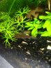 DSC01149.JPG