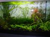 DSC01152.JPG