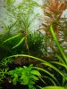 DSC01148.JPG