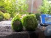 2011-07-19 17.52.37.jpg
