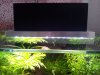 2011-07-19 17.51.48.jpg