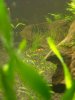 DSCN1408.JPG