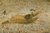IMG_3620r.jpg