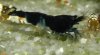 DSCN1515.JPG