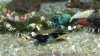 DSCN1438.JPG