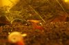 _MG_0013.JPG