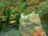 DSC00096_1.jpg