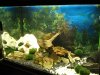 11102011021.JPG