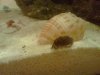 2011-10-22 23.32.33.jpg