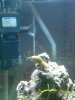 2011-10-23 20.03.33.jpg