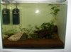 35 l 0005.jpg