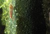 IMG_3202.jpeg