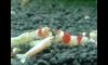 2011-07-31 19.52.34_001.JPG