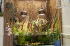 Uferaquarium_Garnelen.jpg