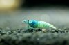 DSC05157.jpg