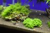 DSC05303.jpg