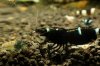 DSC05555.jpg