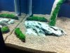 IMG_2614.jpg