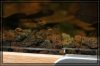 comp_IMG_3873.jpg