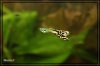 comp_IMG_3883.jpg