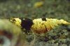 Testbilder 142.JPG