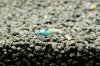 DSC05879.jpg