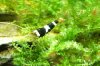 DSC05887.jpg
