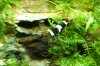 DSC05889.jpg