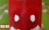 Red Bee 24.jpg