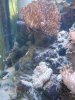 2011.12.29.001.JPG