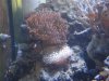 2011.12.30.004.JPG