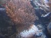 2011.12.30.005.JPG